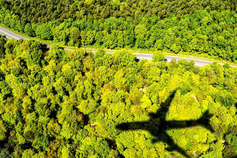 Airplane flying over trees